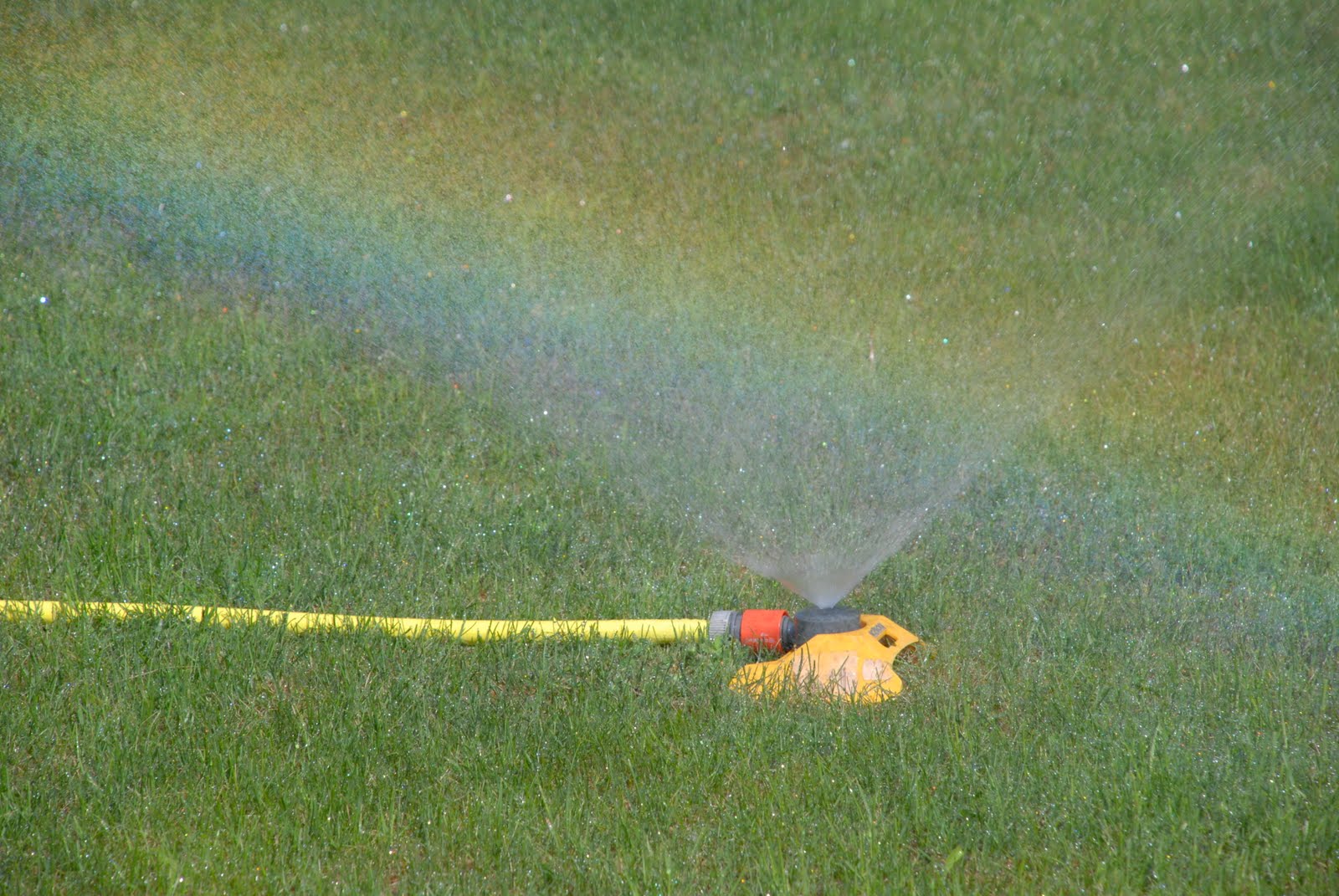 sprinkler1
