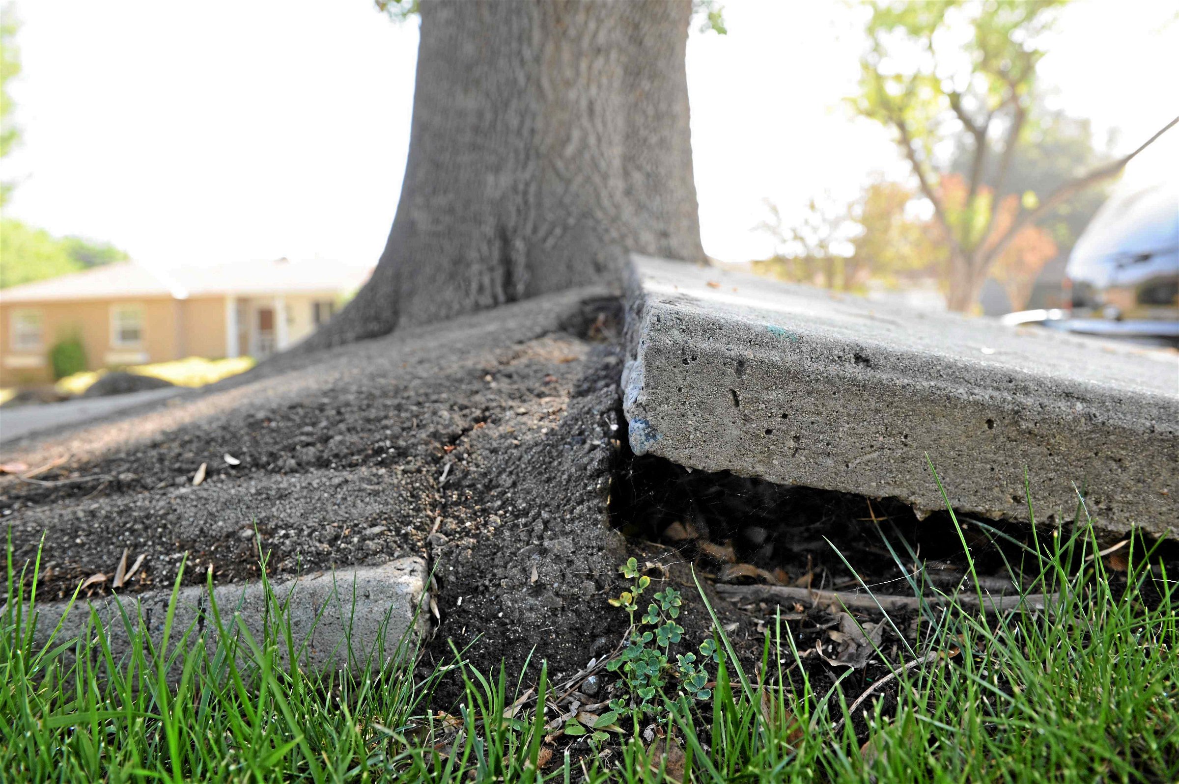 La Commits To 14 Billion Sidewalk Repair Plan Granada Hills North Neighborhood Council 5955