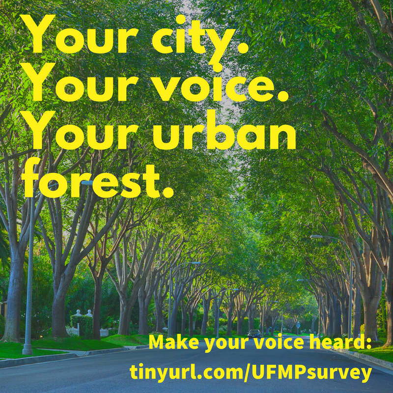 City-Plants-Trees