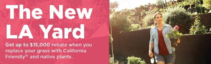 Turf_rebate_web_header01