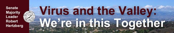 virusandthevalley